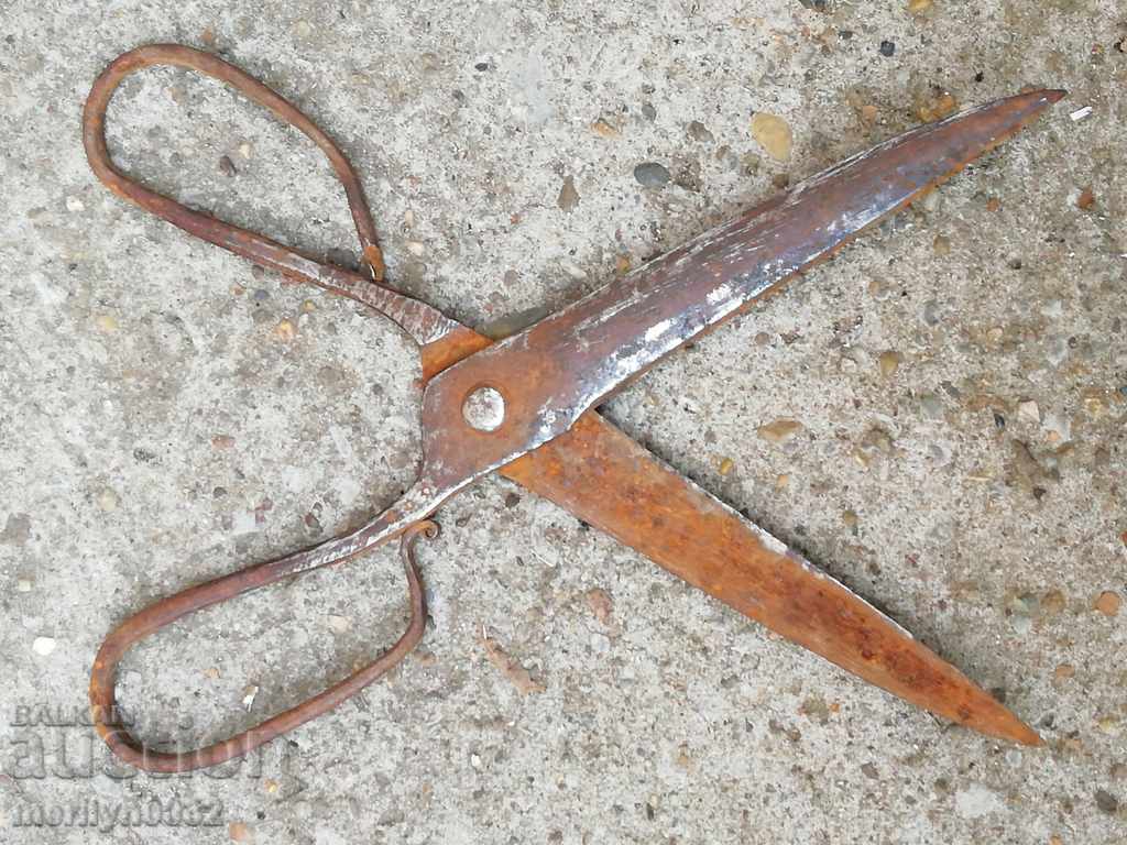 Renaissance forged scissors, wrought iron - 7