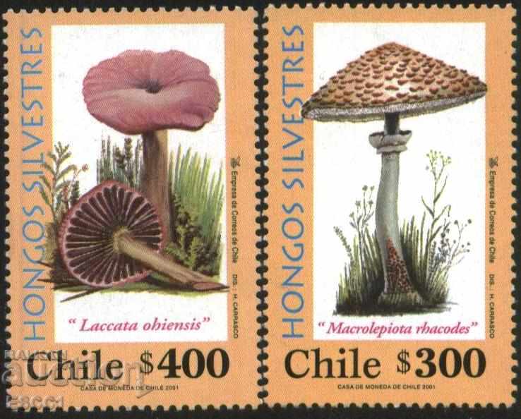 Чисти  марки Флора Гъби 2001  от Чили