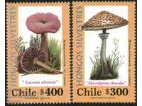 Чисти  марки Флора Гъби 2001  от Чили