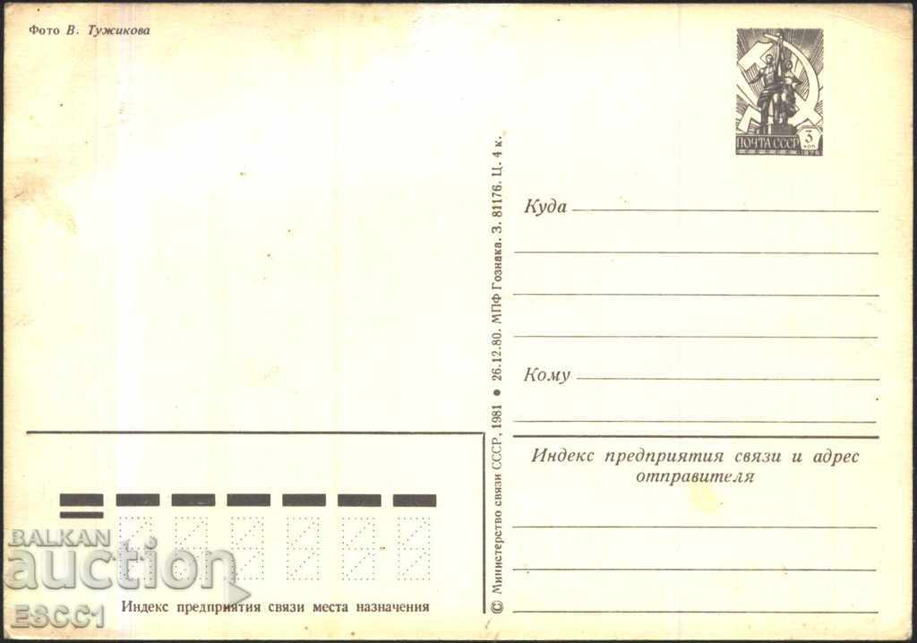 Postcard Flora Flowers 1981 from the USSR with price 1.00 BGN | € 0.51 Postcard Flora Flowers 1981 from the USSR with price 1.00 BGN | € 0.51