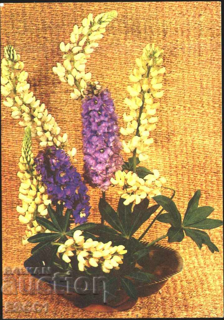 Carte poștală Flora Flori 1981 din URSS