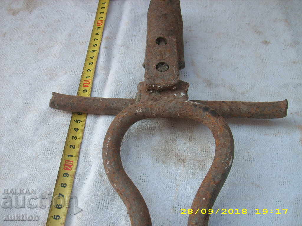 Auction  OLIVE MASSIVE FOOT SEAL FOR BEEF