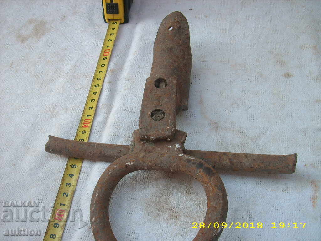 OLIVE MASSIVE FOOT SEAL FOR BEEF - 5