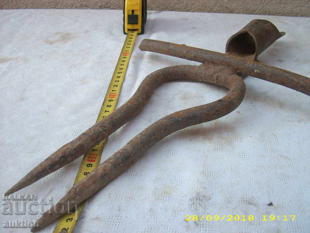 OLIVE MASSIVE FOOT SEAL FOR BEEF - 6