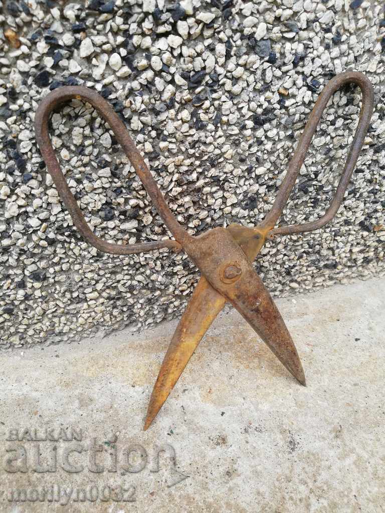 Renaissance forged scissors, wrought iron with price 38.00 BGN | € 19.43 Renaissance forged scissors, wrought iron with price 38.00 BGN | € 19.43