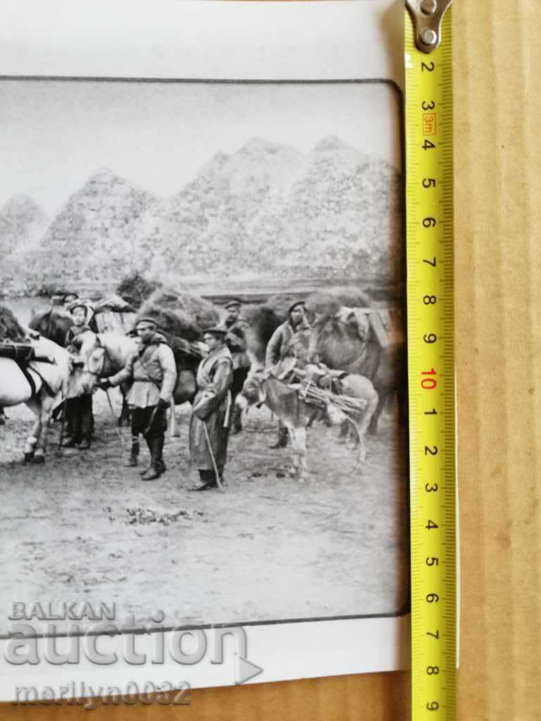 Auction A photo from the FTT, copied from the original Auction A photo from the FTT, copied from the original