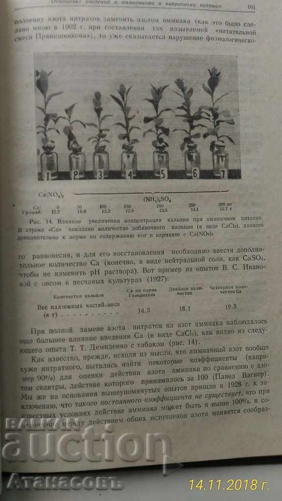 Nitrogen in vivid plants Akademik Dmitri Pryanhnikov - 5