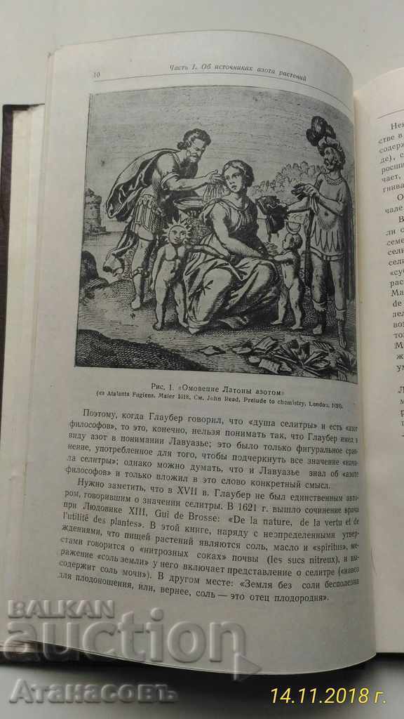 Nitrogen in vivid plants Akademik Dmitri Pryanhnikov - 6