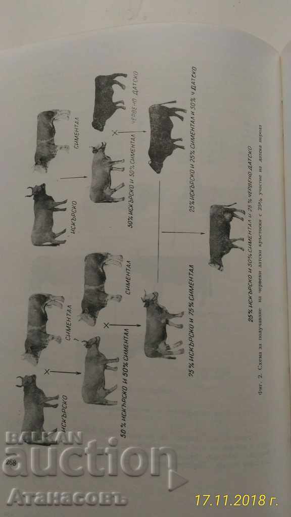 Delivery of 60 y. Agricultural Institute Obraztsov Chiflik Rousse Delivery of 60 y. Agricultural Institute Obraztsov Chiflik Rousse