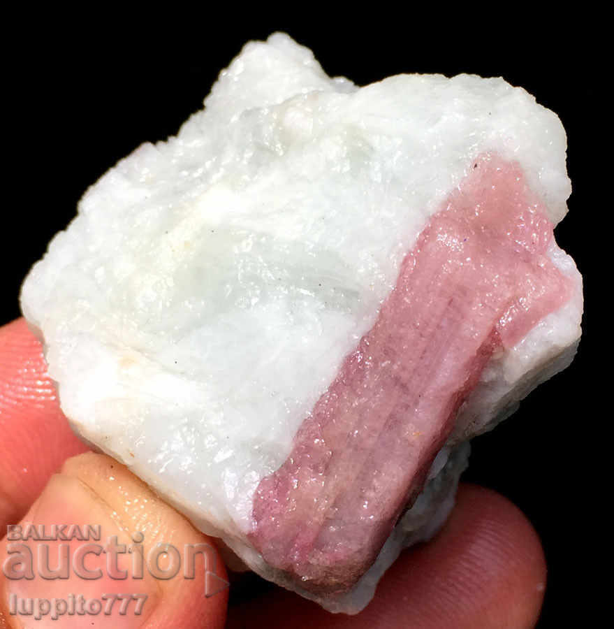 Auction pink tourmaline of a mineral matrix Auction pink tourmaline of a mineral matrix