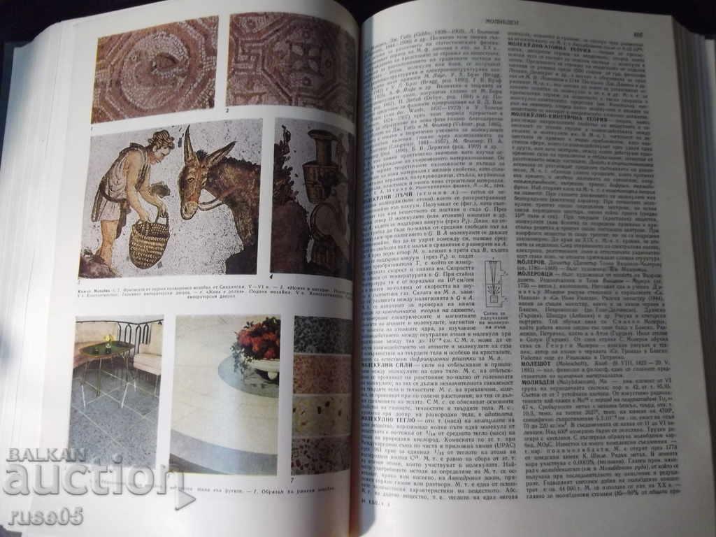 Book "Short Bulgarian Encyclopedia-Volume 4-Collective" -660p. - 5 Book "Short Bulgarian Encyclopedia-Volume 4-Collective" -660p. - 5