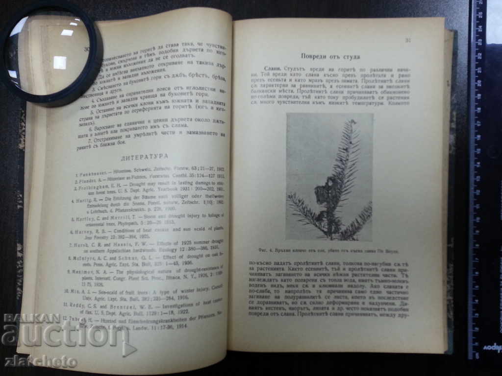 Forest Pathology. 1939г. with price 50.00 BGN | € 25.56 Forest Pathology. 1939г. with price 50.00 BGN | € 25.56