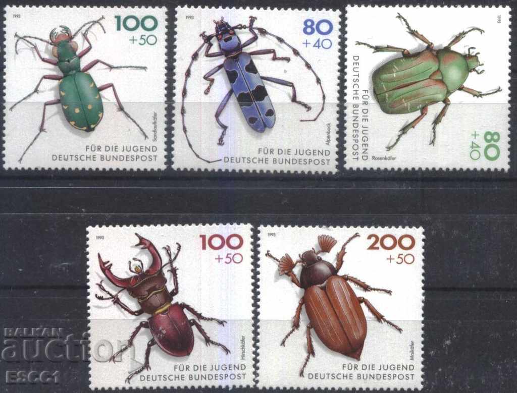 Καθαρά φασόλια έντομα σκαθάρια 1993 από τη Γερμανία
