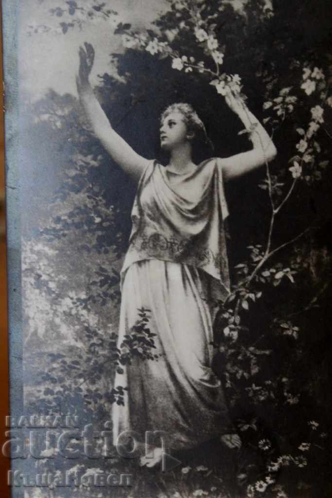 Auction 1913 LITTLE STAR POSTCARD CARD Auction 1913 LITTLE STAR POSTCARD CARD