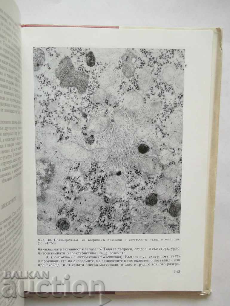 Licitație Bazele patologiei ultrastructurale - L. Krastev 1982 Licitație Bazele patologiei ultrastructurale - L. Krastev 1982