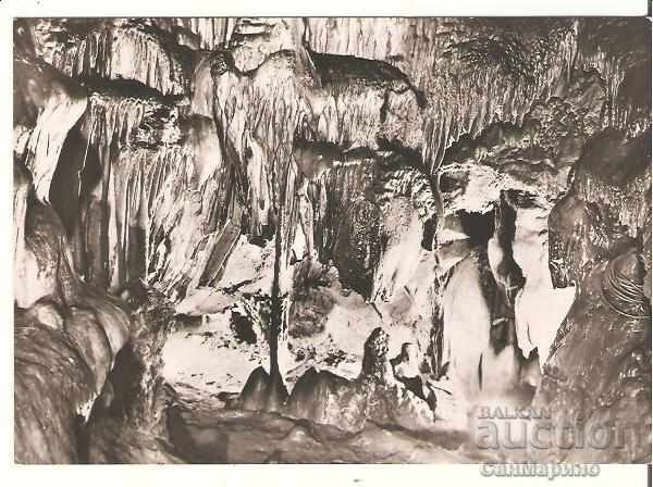 Map Bulgaria Cave "Ledenika" 7 *