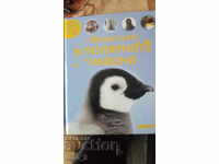 ДЕТСКА КНИЖКА "ЖИВОТНИТЕ В ПОЛЯРНИТЕ РАЙОНИ"