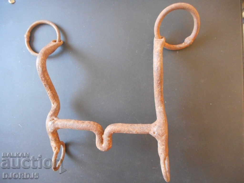 Auction Old bridle Auction Old bridle