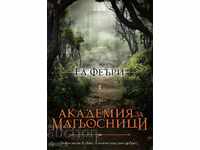 Ακαδημία Μάγων