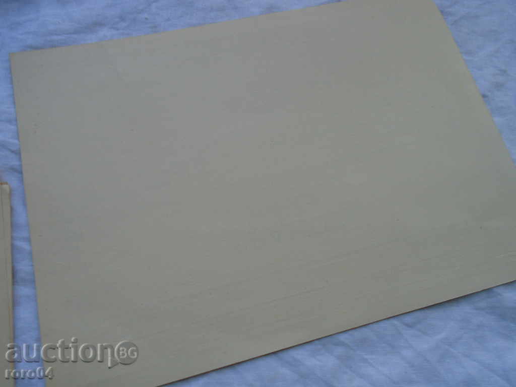 BULGARIAN NATIONAL BANK - CLEAN NEW GLOBE with price 8.99 BGN | € 4.60 BULGARIAN NATIONAL BANK - CLEAN NEW GLOBE with price 8.99 BGN | € 4.60