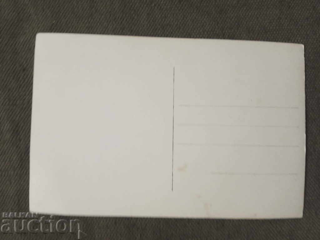 Miss Universe - Keriman Halis Ece with price 120.00 BGN | € 61.36 Miss Universe - Keriman Halis Ece with price 120.00 BGN | € 61.36