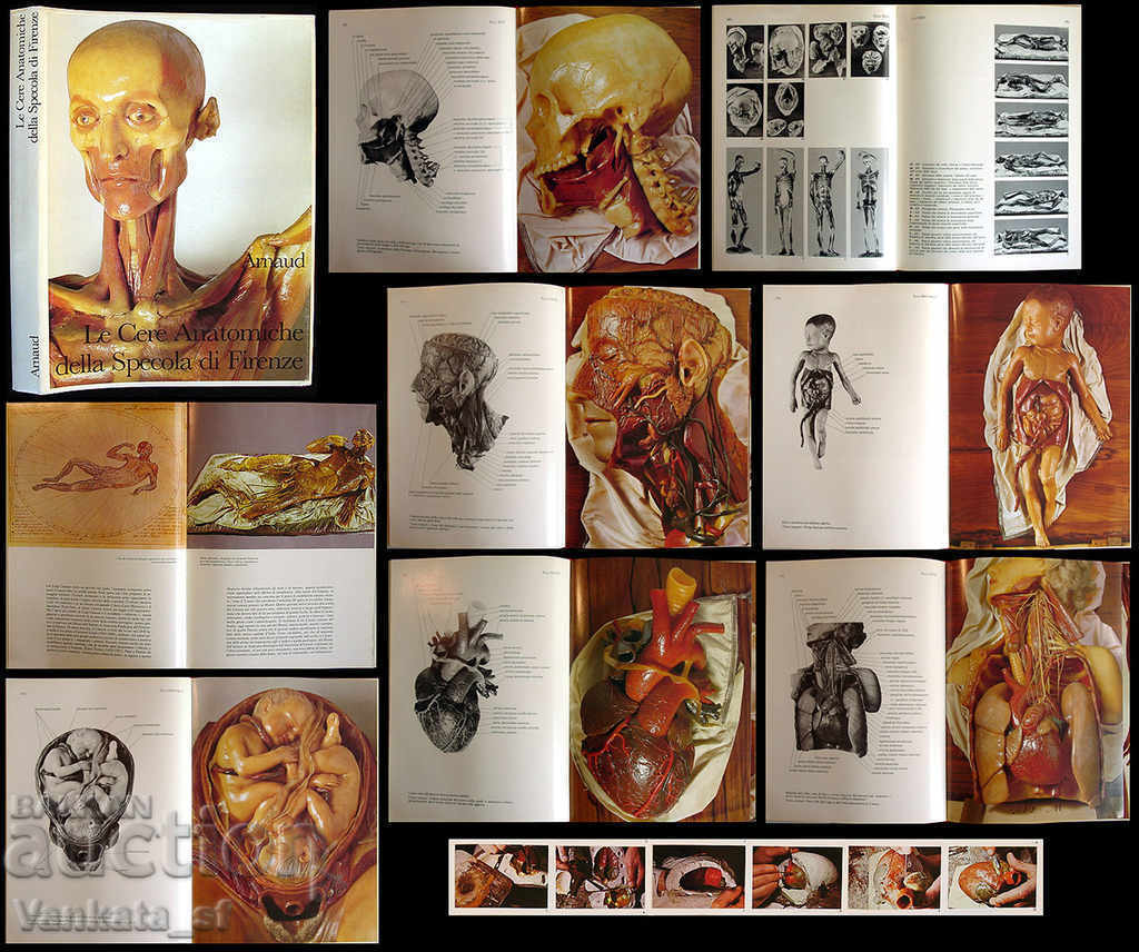 Le Cere Anatomiche della Specola με τιμή 40.00 BGN | € 20.45 Le Cere Anatomiche della Specola με τιμή 40.00 BGN | € 20.45