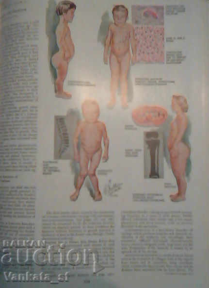 Endocrine system and selected metabolic diseases with price 80.00 BGN | € 40.90 Endocrine system and selected metabolic diseases with price 80.00 BGN | € 40.90