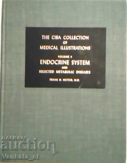 Endocrine system and selected metabolic diseases