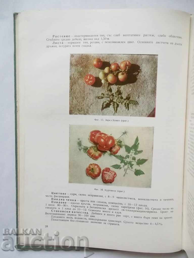 Auction Approximation of Vegetable Cultures - Hristo Daskalov 1966 Auction Approximation of Vegetable Cultures - Hristo Daskalov 1966
