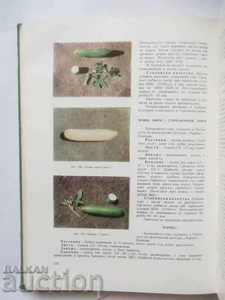 Delivery of Approximation of Vegetable Cultures - Hristo Daskalov 1966 Delivery of Approximation of Vegetable Cultures - Hristo Daskalov 1966