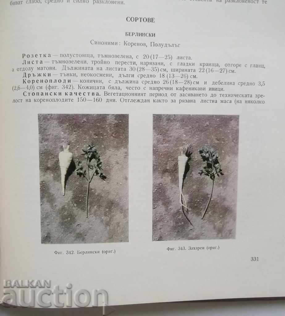 Approximation of Vegetable Cultures - Hristo Daskalov 1966 - 5 Approximation of Vegetable Cultures - Hristo Daskalov 1966 - 5
