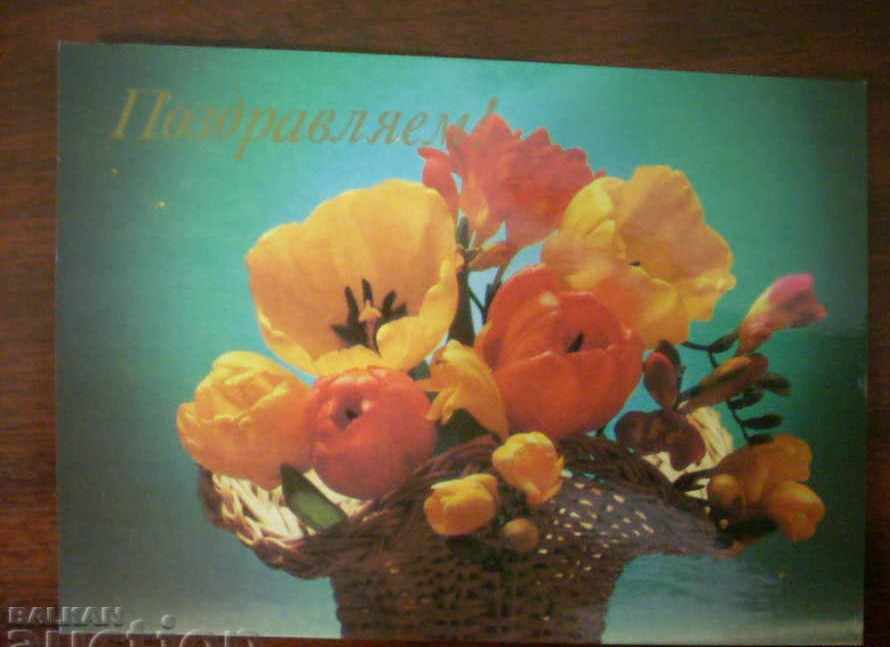 OLD CARD - URSS