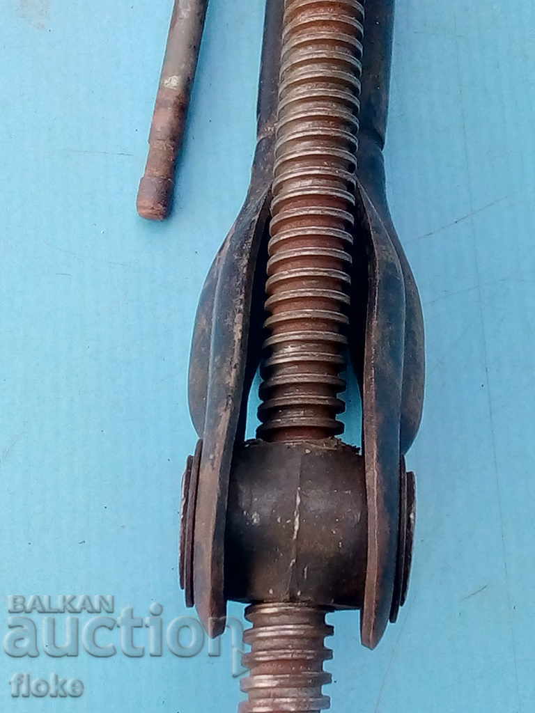 A car-old cricket - 7 A car-old cricket - 7