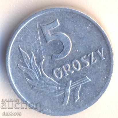 Полша 5 гроша 1962 година