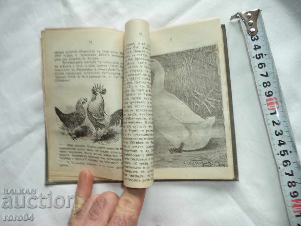 BIRTHDAY CALENDAR FOR 1906 - K. ILIEV - 1906 - 6 BIRTHDAY CALENDAR FOR 1906 - K. ILIEV - 1906 - 6