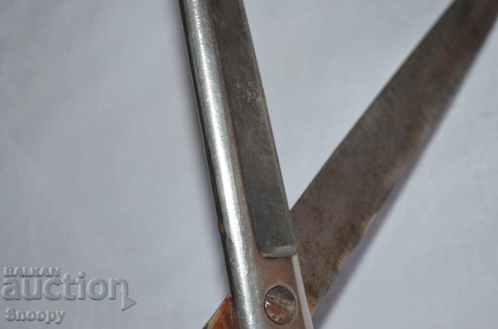 Old German scissor Soligen - 5 Old German scissor Soligen - 5