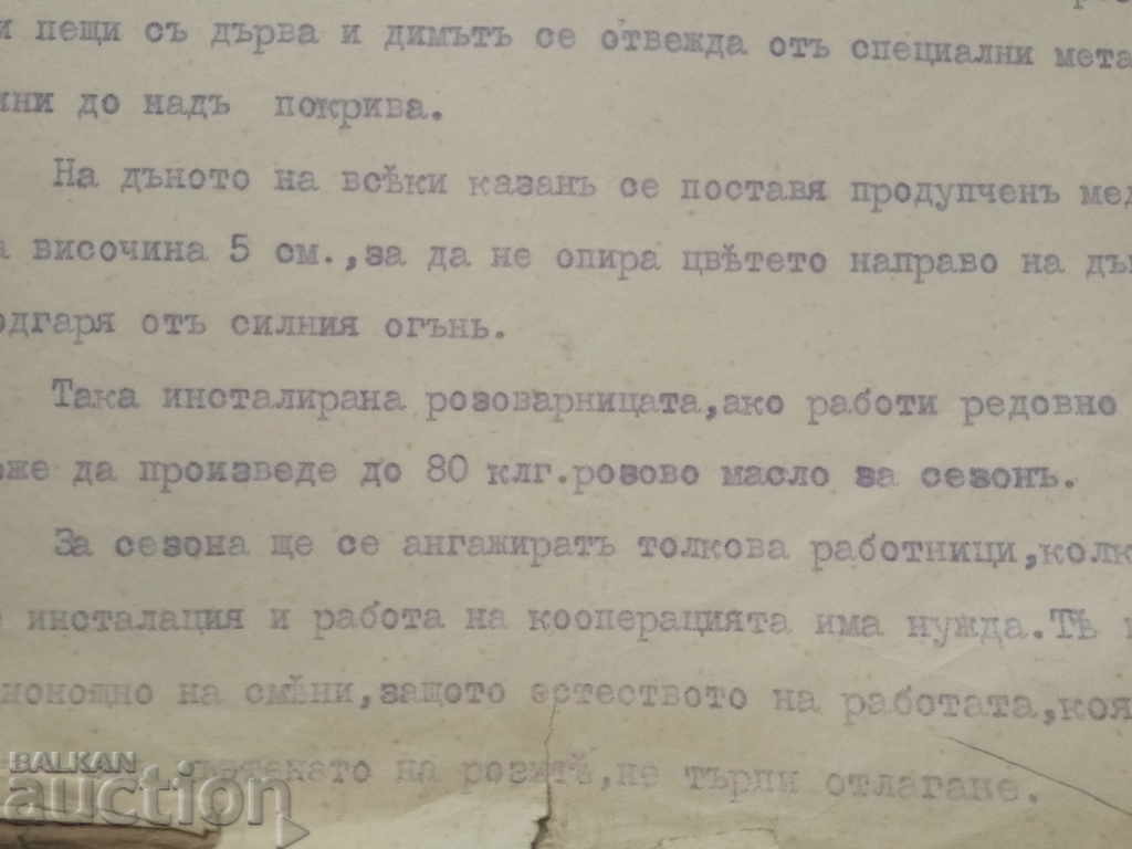 Project for a rose plant in the village of Medovo - arch. Iv. Zidarov 1927 with price 2500.00 BGN | € 1278.23 Project for a rose plant in the village of Medovo - arch. Iv. Zidarov 1927 with price 2500.00 BGN | € 1278.23