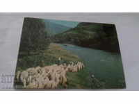 Carte poștală Teteven River Vit 1975