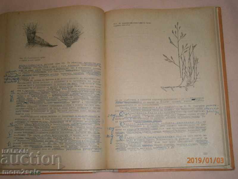 PROF. K. PAVLOV - FEED PRODUCTION - 1972 - 408 STP - 5