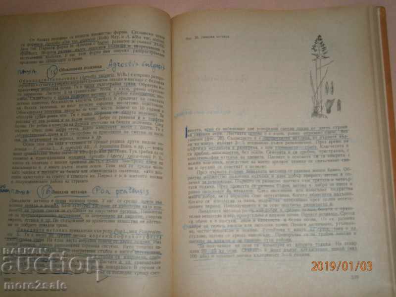 PROF. K. PAVLOV - FEED PRODUCTION - 1972 - 408 STP - 6