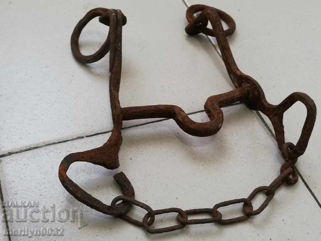 Auction  Old army bridle, cavalry, harness, horseman