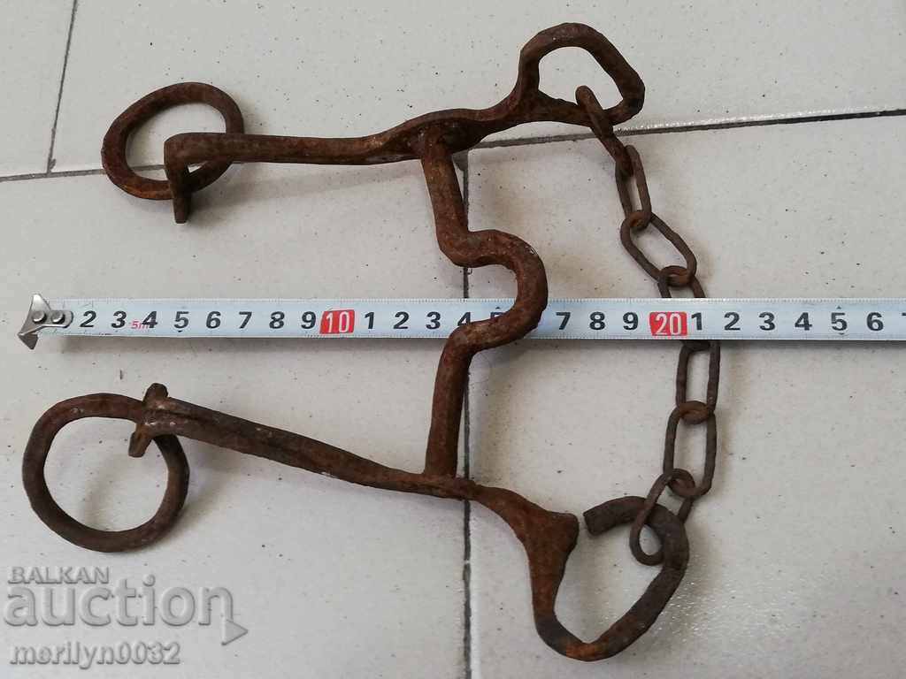 Delivery of Old army bridle, cavalry, harness, horseman