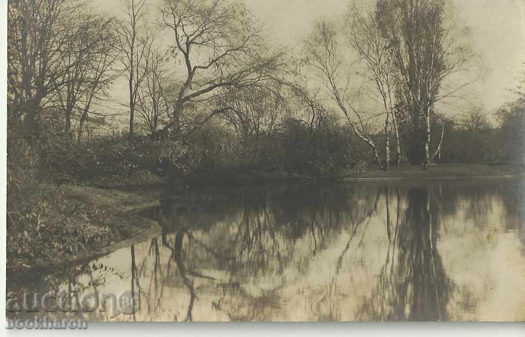 Old photo, Viennese park 1928