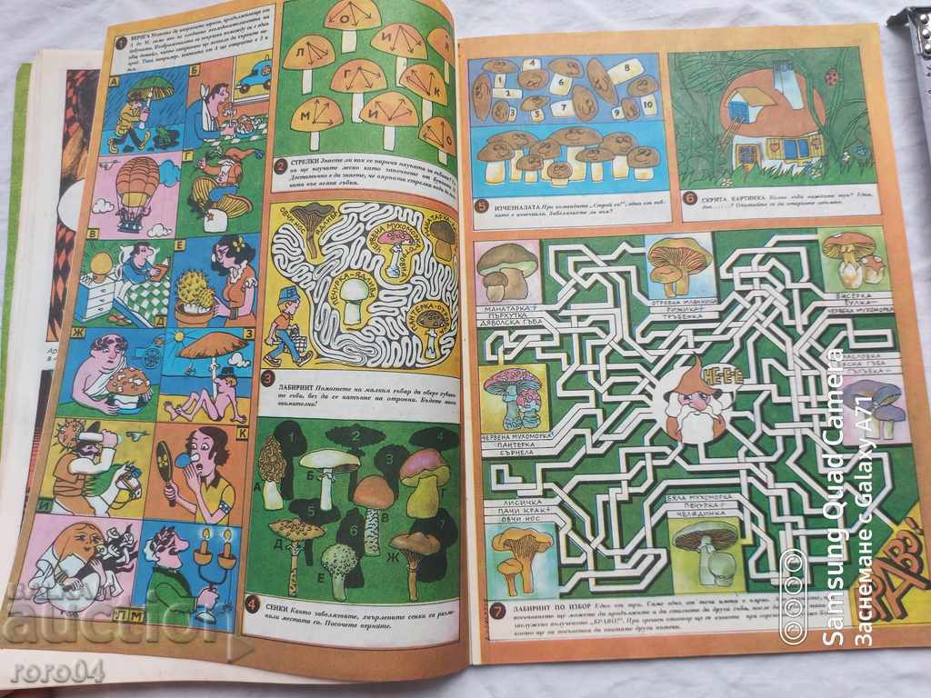 Rainbow - 6 Rainbow - 6