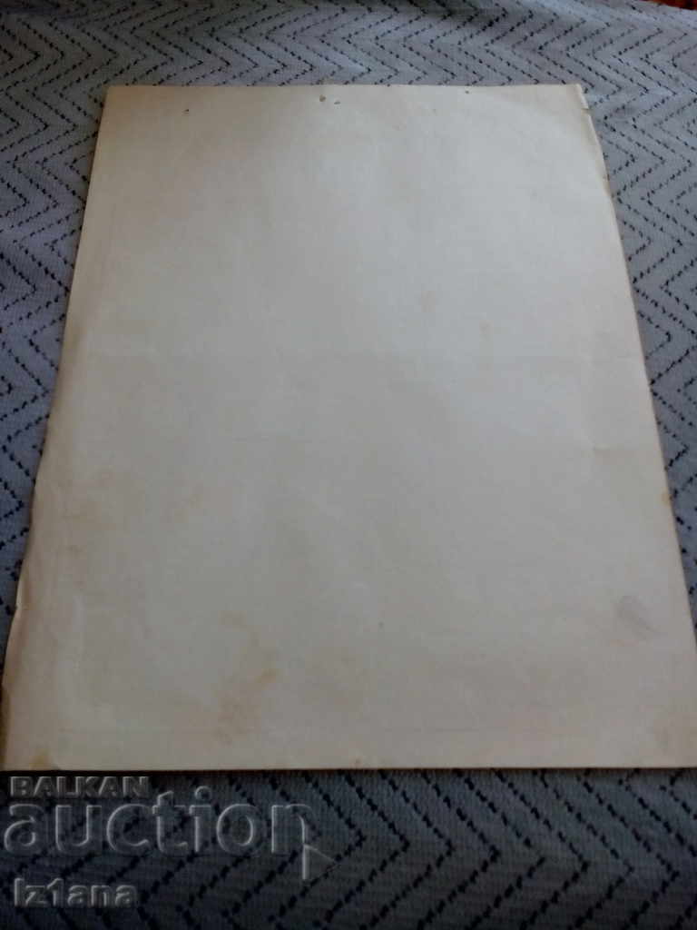 Old blank Report on meat production - 5 Old blank Report on meat production - 5