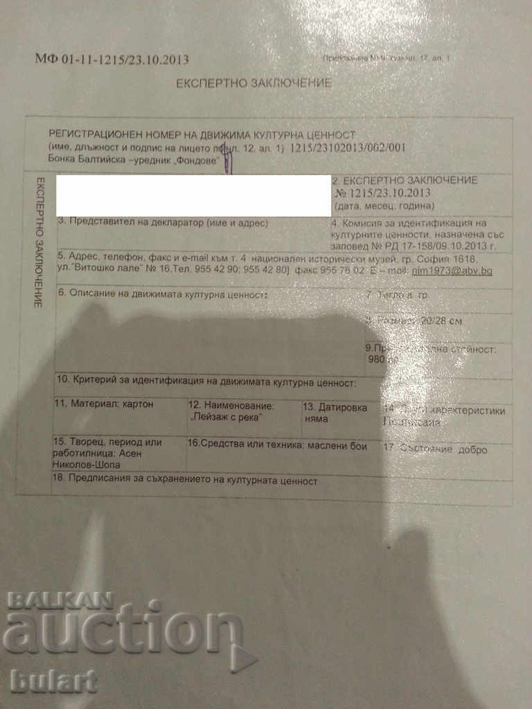 Painting "Landscape with the river" Asen Nikolov.Material.Identification - 6 Painting "Landscape with the river" Asen Nikolov.Material.Identification - 6