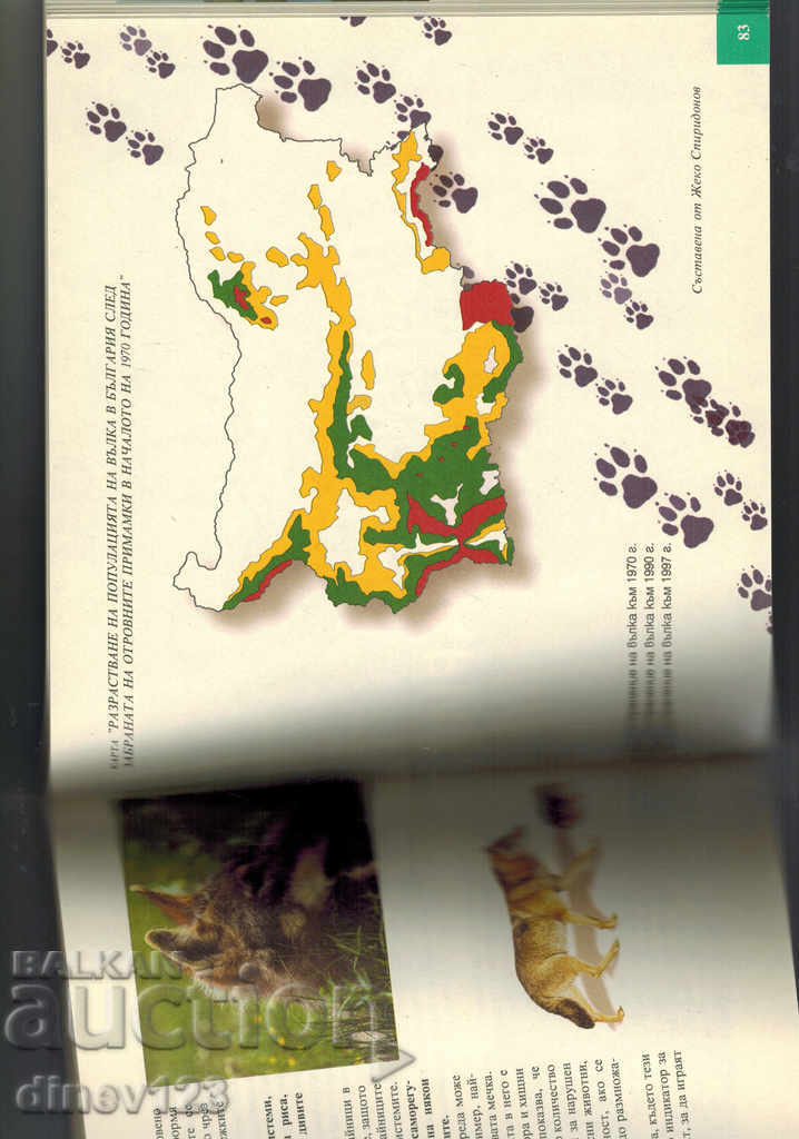 Auction THE GREEN GOLD OF BULGARIA Auction THE GREEN GOLD OF BULGARIA