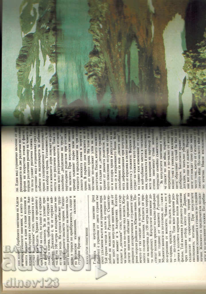 Auction THE ANTARCTIC ANIMALS - K. ODANING Auction THE ANTARCTIC ANIMALS - K. ODANING