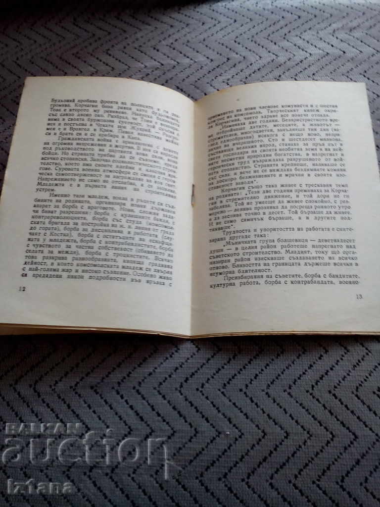 Reading: How the Steel Was Tempered with price 6.00 BGN | € 3.07 Reading: How the Steel Was Tempered with price 6.00 BGN | € 3.07