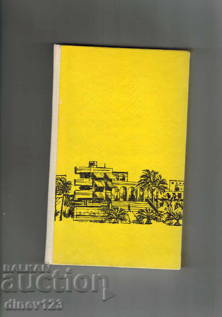 Auction THE COMMANDERS - GREEN GREEN Auction THE COMMANDERS - GREEN GREEN